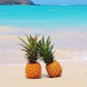 Meet your Posher, Brenna